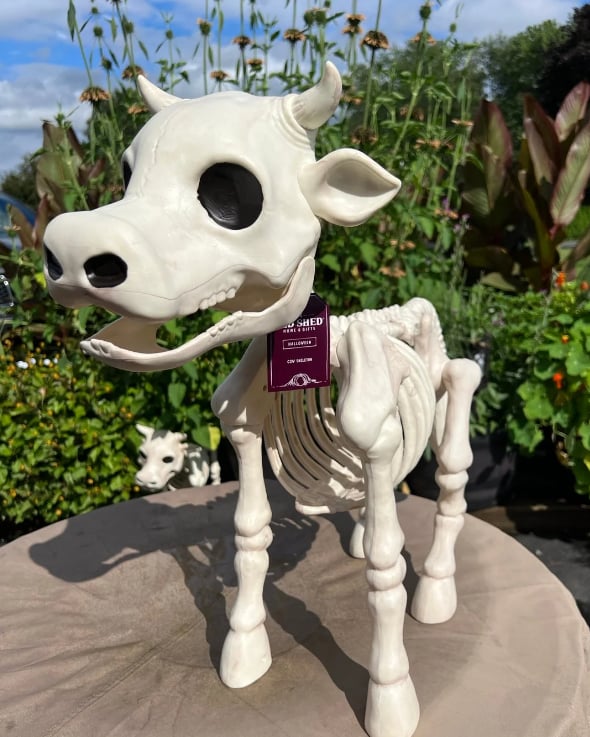 Kuh & Pferd Skelett Halloween Dekorative Requisite
