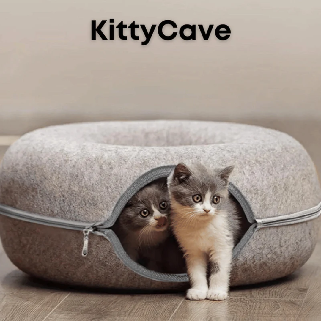 KittyCave