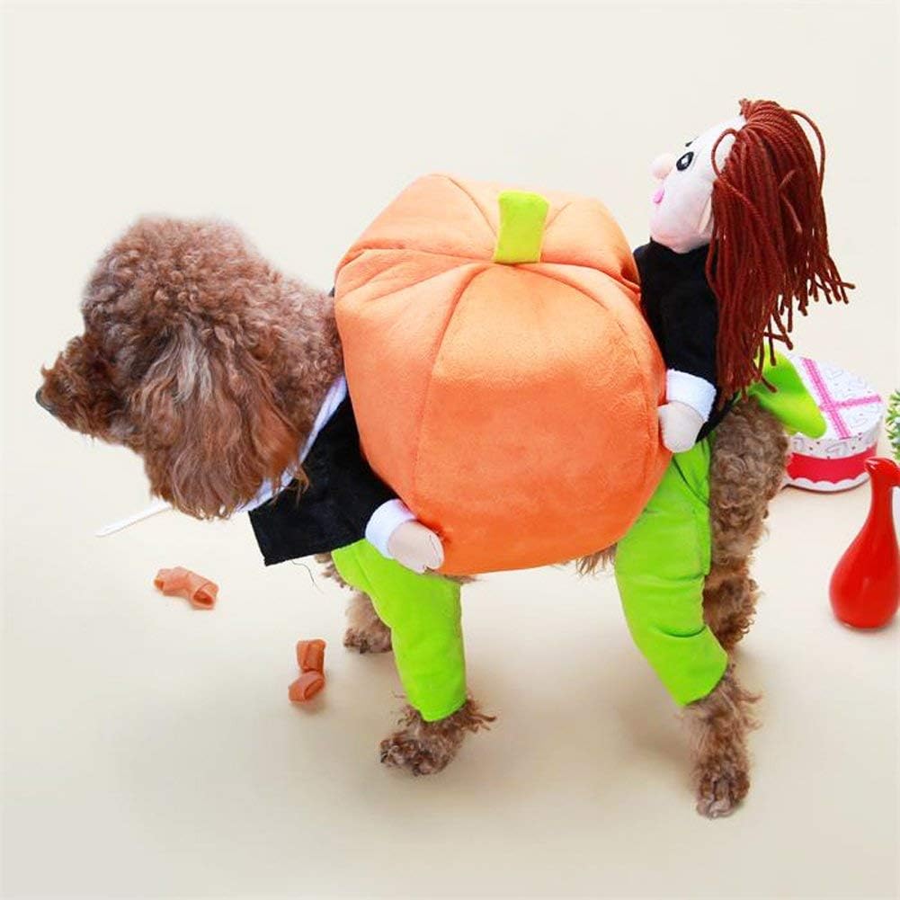 Hund & Katze Kürbis Halloween Kostüm