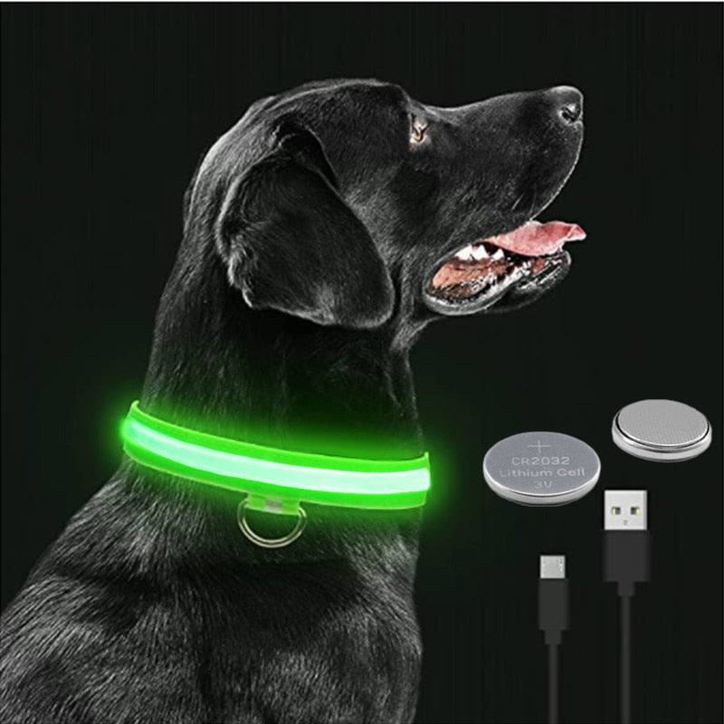 Otee™️ - LED-Hundehalsband