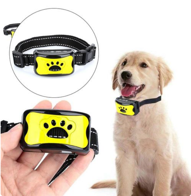 Bell-Stopper - Das Anti-Bell Hundehalsband